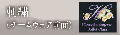 刺繍(チームウェア前面)